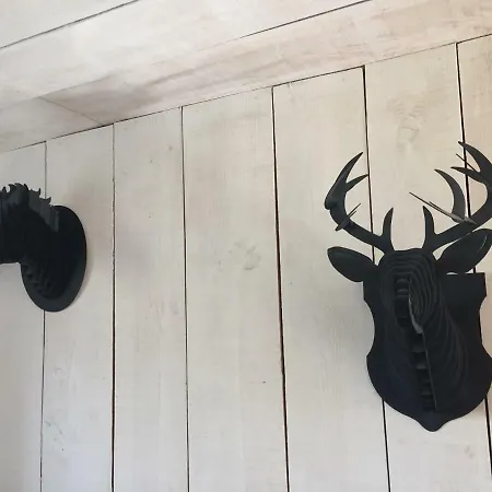 Bed & Breakfast Et Table D'hotes Le Souleilla *